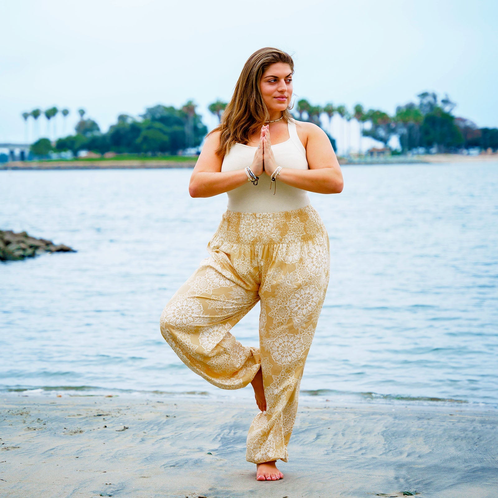 Curve Havana Harem Pants