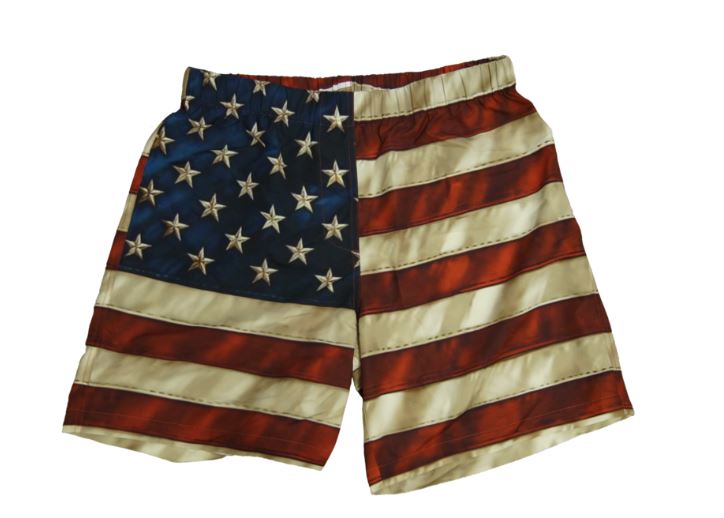 Brief Insanity American Flag Polyester Boxers