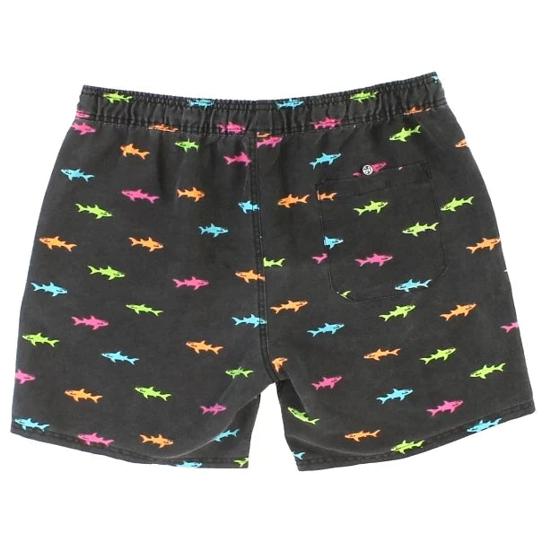 Maui and Sons Party Volley Pool Shorts - 16 & 17 inch Outseams