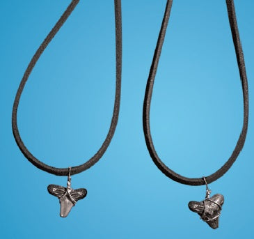 Wet Shark Tooth Necklace